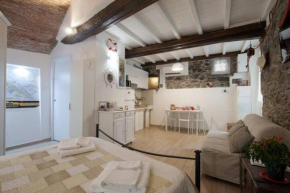 Rio Alba loft - holiday house - Riomaggiore 5terre
